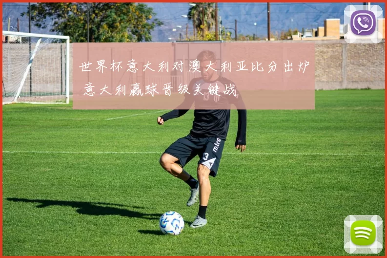 世界杯意大利对澳大利亚比分出炉 意大利赢球晋级关键战