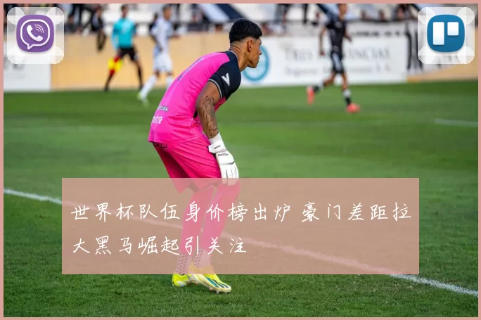 世界杯队伍身价榜出炉 豪门差距拉大黑马崛起引关注