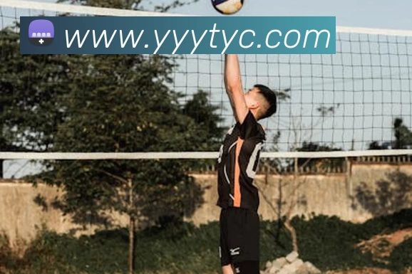 金年汇网页版登录入口(中国) - 官方网站APP 封面图